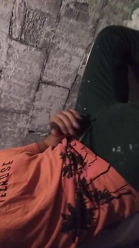 I Couldn't Make Porn