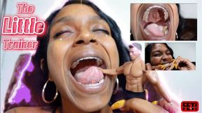 Feti The Little Trainer-Phoenix 4K