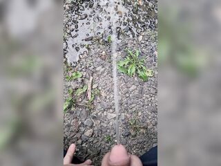 Pissing On The Path 《4k》