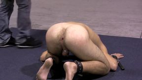 Well-cummed Slaves - Chapter 4