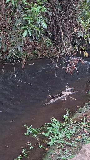 Key moment from "Strangers are caught having sex at the waterfall."