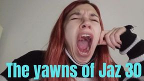 The yawns of Jaz 30