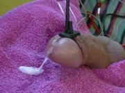 Estim Cumshot Compilation