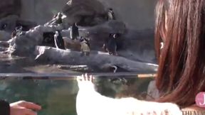 Hear Her Desire: The Seductive Sounds of Passionate Blowjob Moments