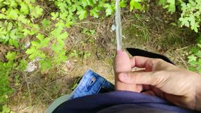 Outdoor Piss