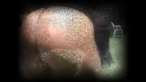 The Dirty Pig Prostitute