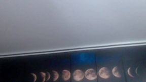 Jenny Carters Members-Only Show