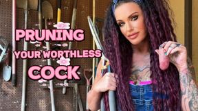 PRUNING YOUR WORTHLESS COCK - Penectomy, CBT, Humiliation, MistressRavenFD