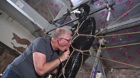 Wrapped in plastic and pleasured to a cum explosion!