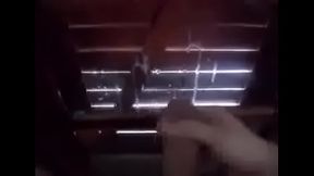 Tirando leite do pau