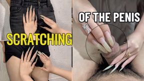 C4SHalloween25 Pov: You're Getting Your Cock Head Scratched Penis By The Queen Of Naturally Long Nails | LINH'S LONG NAIL | CRAZY ABOUT LONG AND NATURAL NAILS