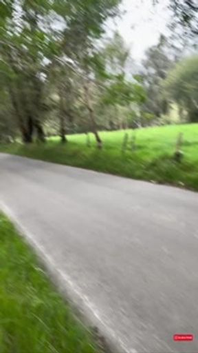 A quiet stroll, an amazing girl and an instant 🔥 spark