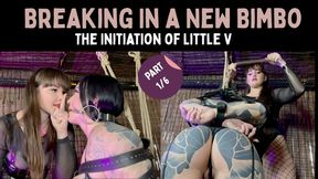 (720P) Breaking In a New Bimbo – Part One – The Initiation of Little V. Vivienne l'Amour inspects her bound and gagged bimbo Wrestler Vixen