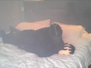 black masked spandex humps masked orca dummy part 2