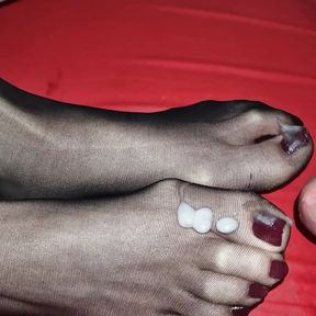 Cum on dark red toenails nylon