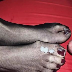 Cum on dark red toenails nylon