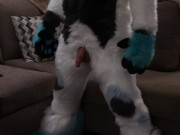 Milking my Dragon Cock for Milk