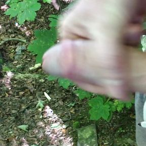 Wanking my hard cock outdoors in the Woods