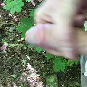 Wanking my hard cock outdoors in the Woods