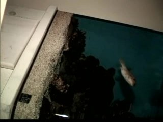 Scene 1
