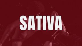 SEXBATTLE RING - BOUT #26 - THE SERIAL BALLBUSTER - SATIVA in 4K!