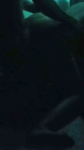 Mairs sound in the dark is at that level   Clip 1