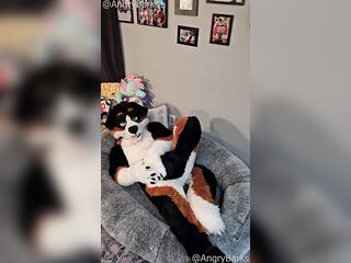 @AngryBarks from the Vet's office teaches your how to milk your puppy boyfriend ‍