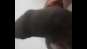 Maduro pinto bom