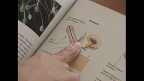 Adicktion: a Princess Who Wants to Experience a Big Gigantic Black Cock