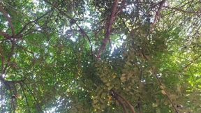 Bum Bum Fire Lingers On My Skin