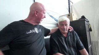 Des ours gays se font sodomiser