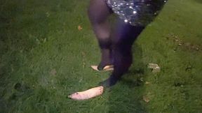 Stockholm day 1, part 4 of 4 Going home