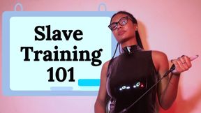 Slave Training 101: Beginner’s Guide to Obedience