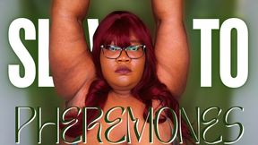 Slave to Pheremones - Bella Trixxx Armpit Worship 480p