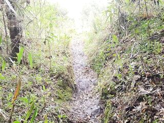 I discover a lady on my land taking what is not hers