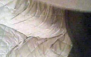 Cd stockings