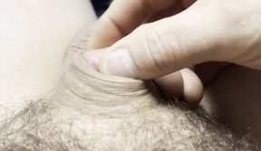 Where did my dick go