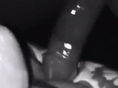 BBC fucks a bitch in chastity (black and white)