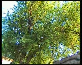 Behind German Doors Is Fucked Diligently - Full Movie