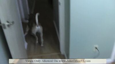 Jake Orion Cam Star Homemade Film