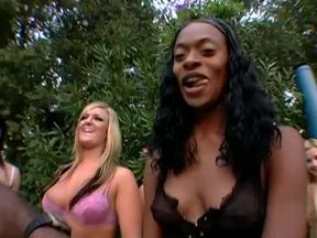 Orgy World 11:  The Next Level