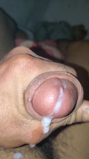 Sudanes cock