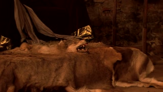 Sexxxotica 4: Tropical Secret- PervMilfsnTeens