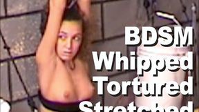 Nicole Redwing & Master Len BDSM Stretched WhippedLEN654A