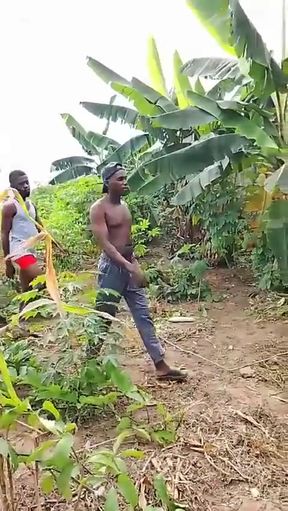 Drill the Bitch Ass with 12 Inches Cock