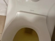 Short standing piss in rest stop toilet - ftm trans