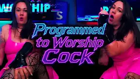 Programmed to Worship Cock