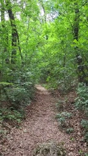 Naughty girl trips and peees