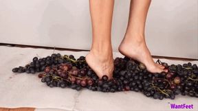 Polly Barefoot Grape Crush - 4K MP4