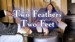 Two Feathers Two Feet HD